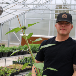 horticulture student in greenhouse